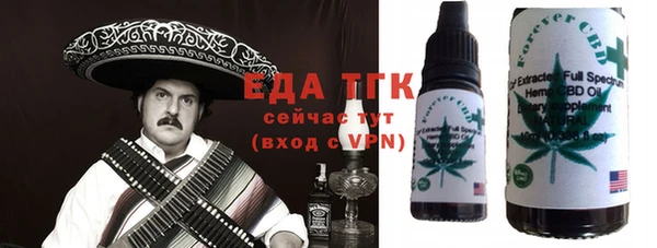 индика Пестово
