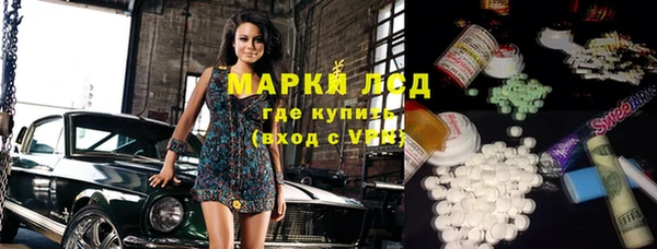 индика Пестово
