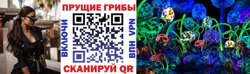 купить  сайты  Краснокамск  блэк спрут рабочий сайт  Галлюциногенные грибы Psilocybe 